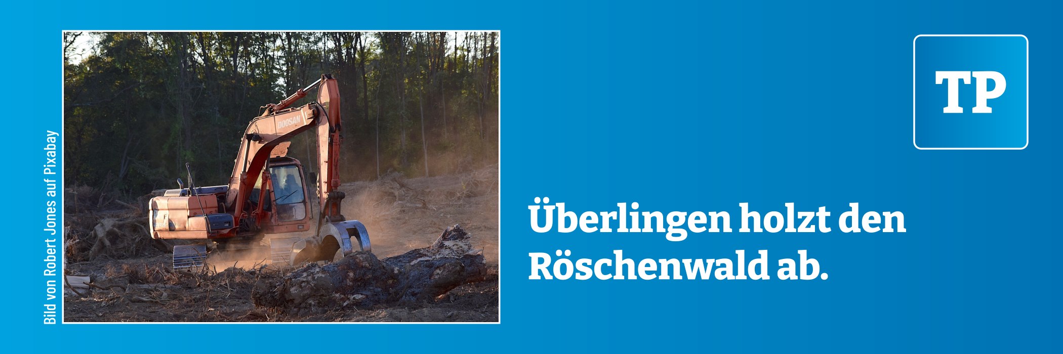 Überlingen holzt den Röschenwald ab