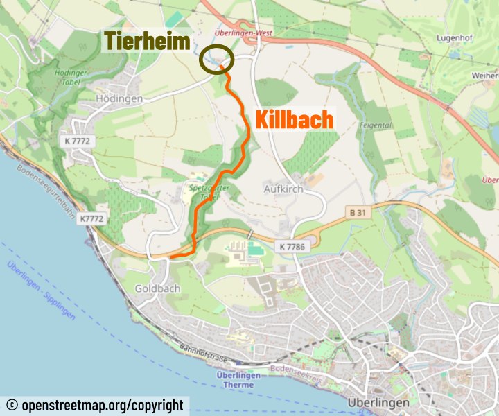 Mörderischer Killbach