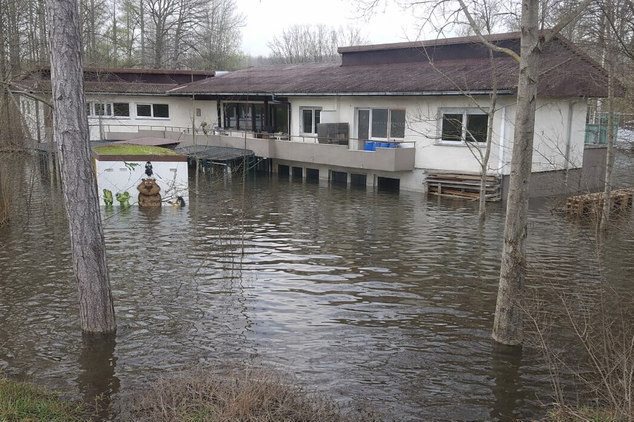 Überflutetes Tierheim